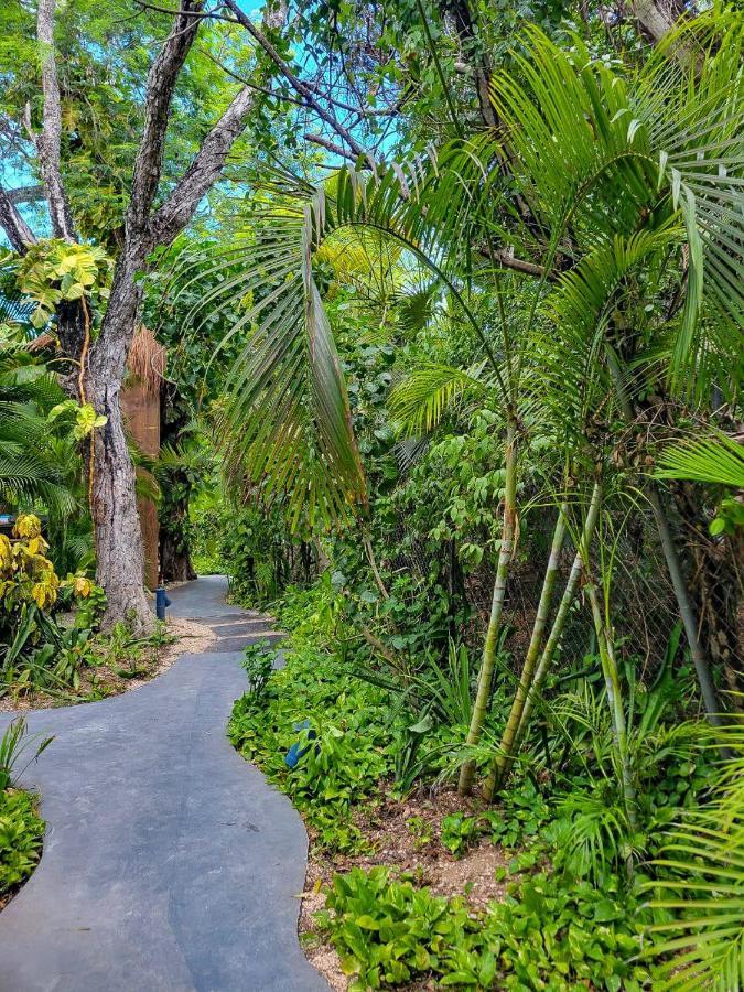 Maui Hostels Tulum Extérieur photo